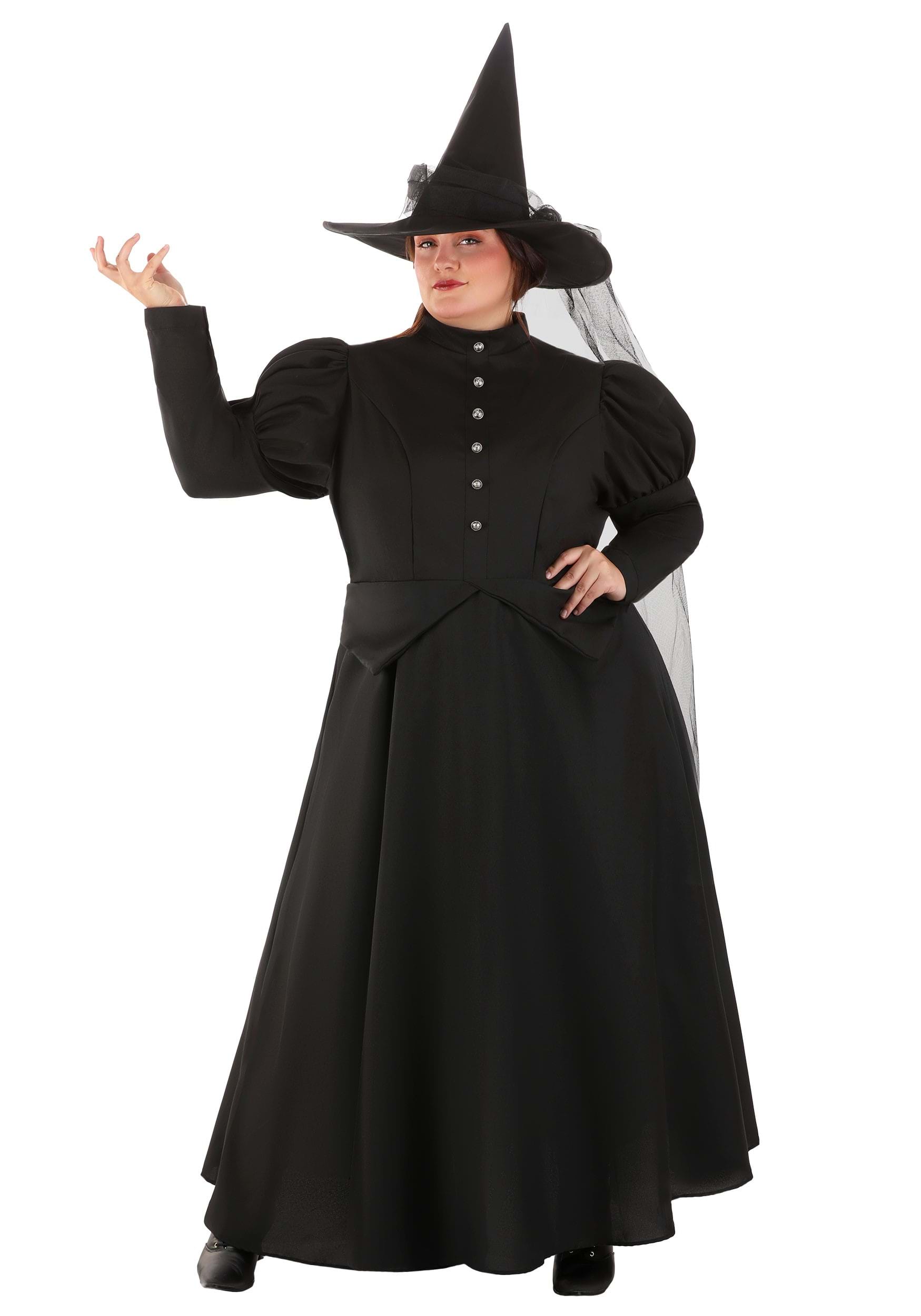 Women's Plus Size Witch Costume
